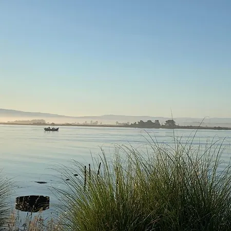 O Cantinho Entre A Ria E O Mar - With Hot Water Pool Year Round Prázdninový dům Torreira