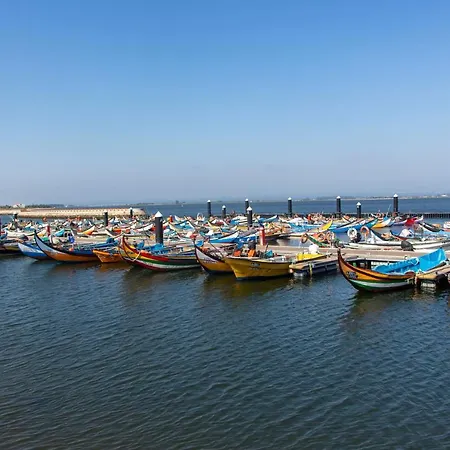 O Cantinho Entre A Ria E O Mar - With Hot Water Pool Year Round Prázdninový dům Torreira