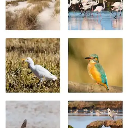 Feriehus O Cantinho Entre A Ria E O Mar - With Hot Water Pool Year Round Torreira