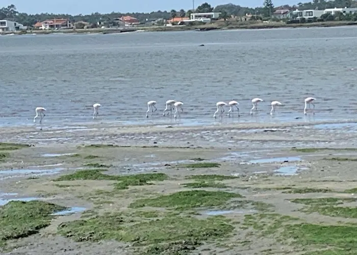Casa de Férias O Cantinho Entre A Ria E O Mar - With Hot Water Pool Year Round Torreira