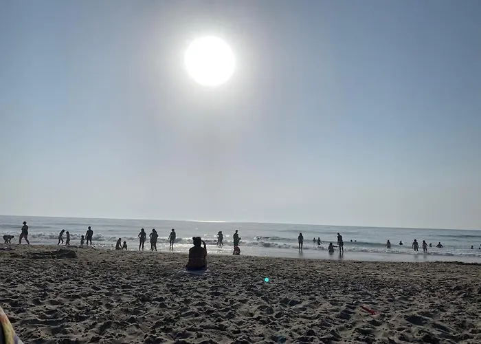 Casa de Férias O Cantinho Entre A Ria E O Mar - With Hot Water Pool Year Round *