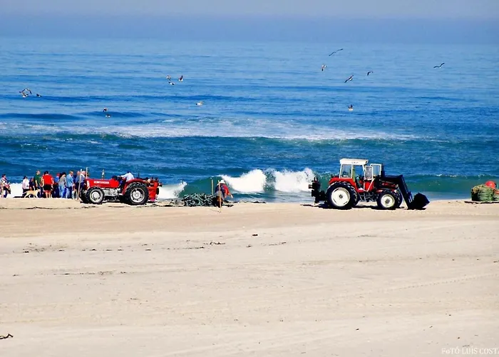Casa de Férias O Cantinho Entre A Ria E O Mar - With Hot Water Pool Year Round