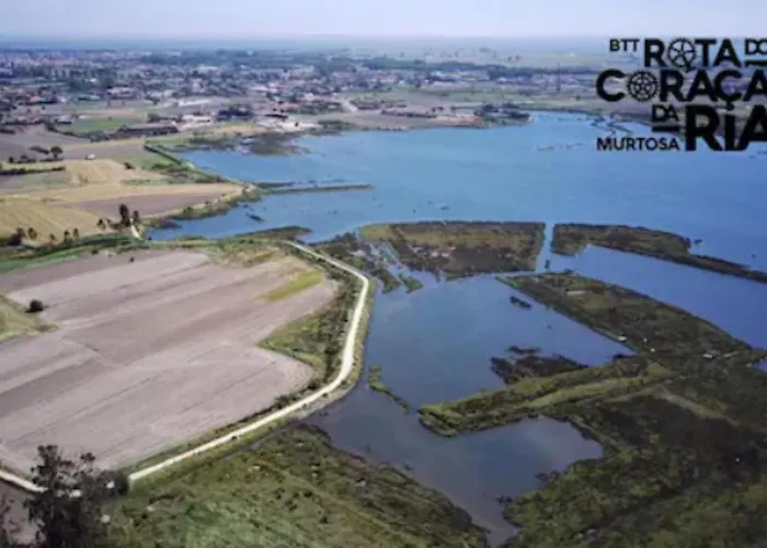 Casa de Férias O Cantinho Entre A Ria E O Mar - With Hot Water Pool Year Round